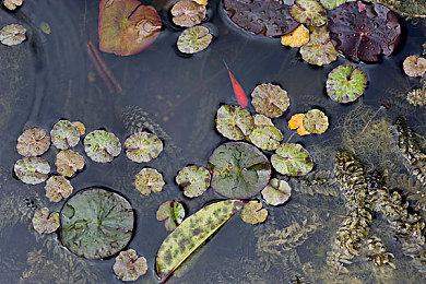 免费竞速游戏《跑跑卡丁车：漂移》最新预告公布